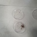 청춘클린