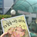 새알곡유치원 이미지