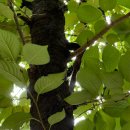 김상호한의원 | 2025.7.29 화요일은 화이팅 하기 힘들지