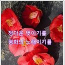 솔의향기 이미지