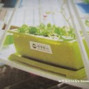 농업회사법인세경팜(주) 이미지