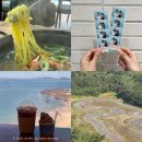 세븐일레븐 보령대천점 | 보령 가볼만한 곳 :: 대천해수욕장 근처 맛집, 카페, 액티비티 모음