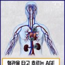 Re:모링가 차(펌) 이미지