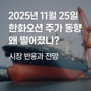 (주)오션글로벌 | 2025년 11월 25일 한화오션 주가 동향 왜 떨어졌나? 시장 반응과 전망 🔍📉