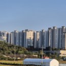 반석미트