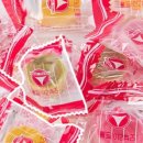 한강오리 이미지