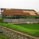 선유6리 이미지