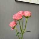 원스타헤어 | [청담] 미슐랭 원스타 청담 익스퀴진 런치 후기