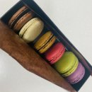 맨앤독 애견카페 이미지