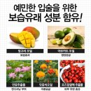 더블유디자인바