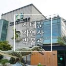 서대문자연사박물관 이미지