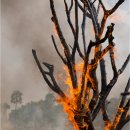 자원순환교육지도사 자격증 과정 이미지