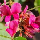 천마 공영주차장 이미지