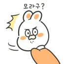 으뜸50안경 인천강남시장점 이미지