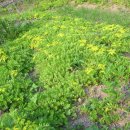 풀무골농장 이미지