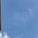 서둔동 26-10 이미지