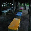 신지동초등학교 이미지