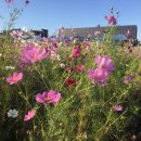 바람새마을 이미지