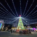 양림경로당 이미지