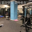 디오필라앤핏 오목교점 | 목동 필라테스 디오필라앤핏 오목교점 필라테스 플레이스 첫인상 느낌 정리