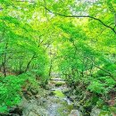 퇴계 이황도 반한 풍경"... 영주 숨은 비경 이미지