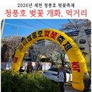 탄현면새마을부녀회 | 제천 청풍호 벚꽃축제 4월5일 방문 벚꽃 개화 상태 먹거리 엿같았던 솔직 후기