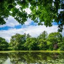 카페꽃길 이미지