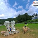 타이어테크 사천점 | 1박2일 남해 가족여행 갯벌체험후기 ~