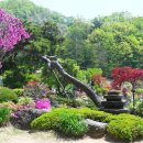 심수 이미지