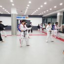 용인대 청룡 태권도장 이미지