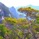 옥천매표소 이미지