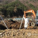 김영만농장 이미지