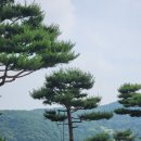 진양수지 이미지