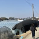 광석농장 이미지