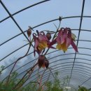 늘푸름농장 이미지