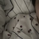 리안 동물병원 | 고양이 하트 발사!!!