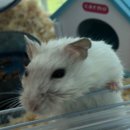 도그원동물의료센터 이미지