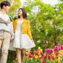 비타민D, 잘 알려지지 않은 효과 이미지