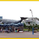 장생포고래박물관 이미지