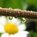 면목동-010 이미지