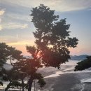 펜션 향 이미지