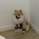 한신회센타 이미지