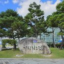 창포가든 | [왕초보탈출기]고속도로 첫도전, 거창창포원 황화코스모스 만개한 풍경 보고오기