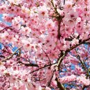 대저생태공원(맥도생태공원 관리사무소 옆) 이미지