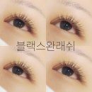 블랙스완래쉬 이미지