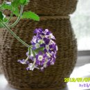 농가월령 이미지