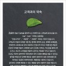 조윤찬 헤어캄