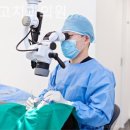 이상치과의원 이미지