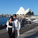 캡틴복싱클럽 | 4박 7일 10월 하이호주 신혼여행 후기 "너무 너무 좋았던 단 한번뿐인 시드니 허니문"