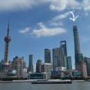 정보맨서점 | 25.12.22 상해 도운서원(朵云书院, Duoyun Books) | 세상에서 가장 높은 서점 다녀온 후기